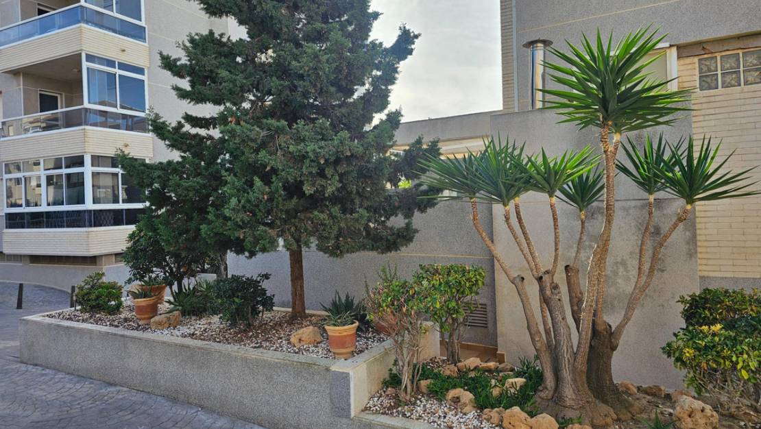 Sale - Apartment - Torrevieja - Torrevieja Centro