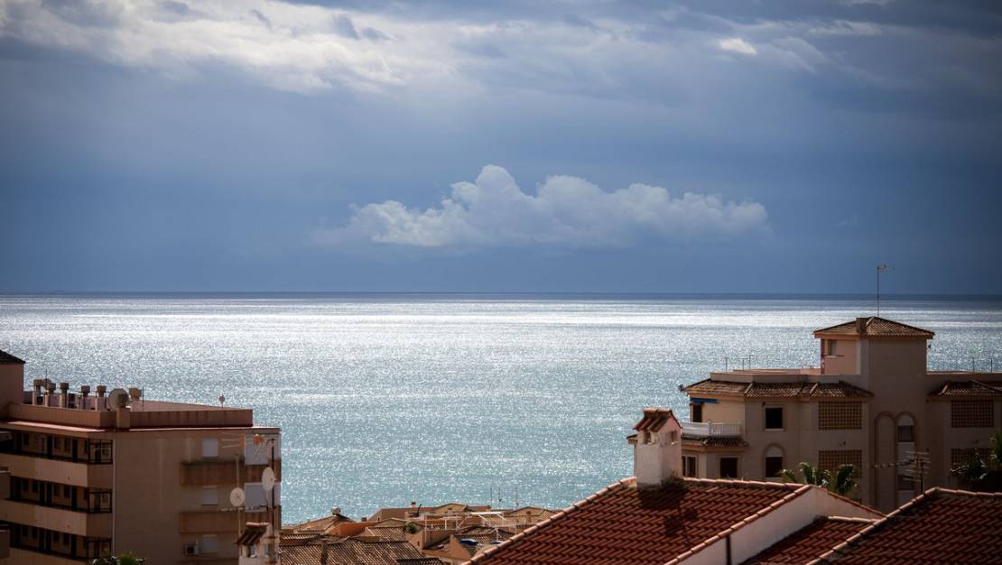 Sale - Apartment - Torrevieja - Torrevieja Centro