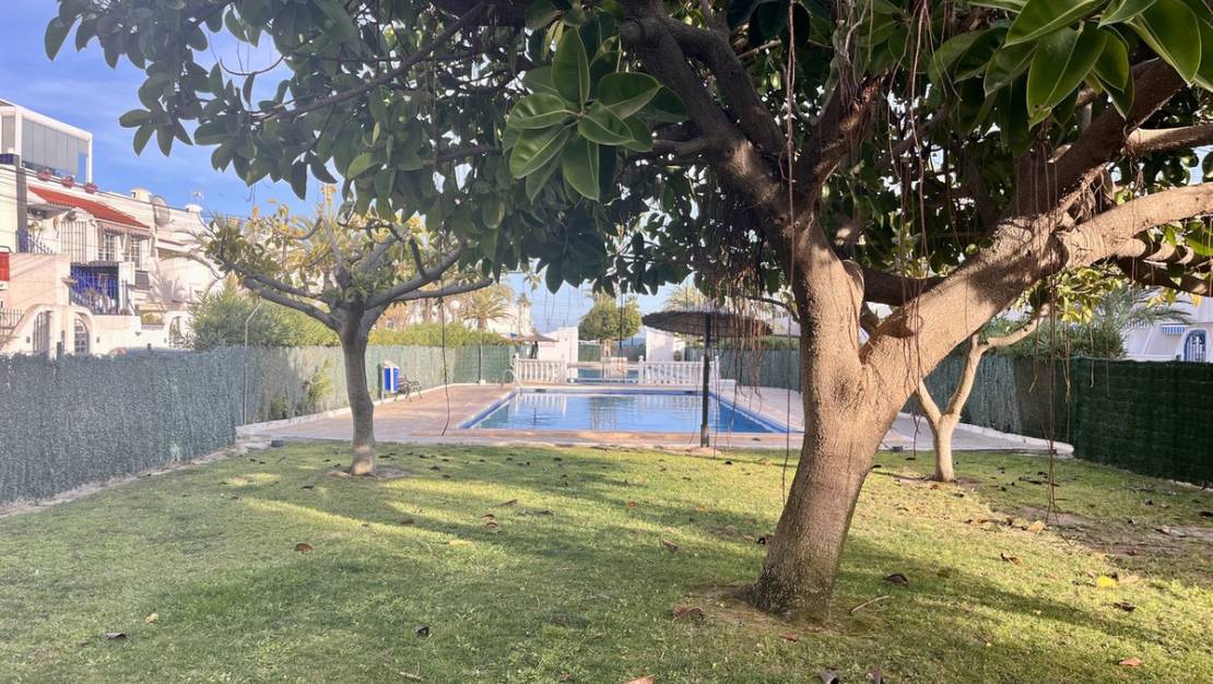 Sale - Apartment - Torrevieja - Torrevieja Centro