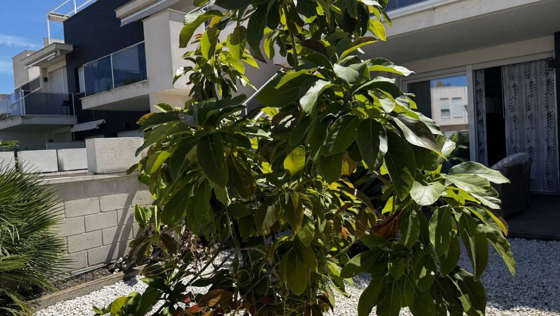 Sale - Apartment - Torrevieja - Torrevieja Centro