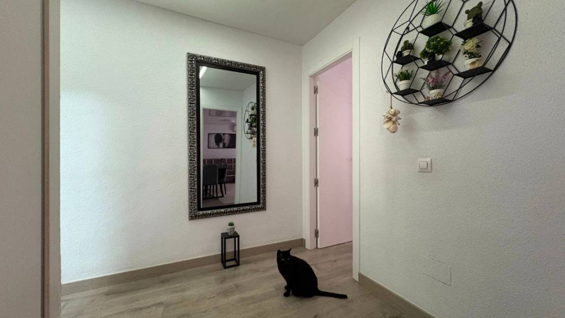 Sale - Apartment - Torrevieja - Torrevieja Centro