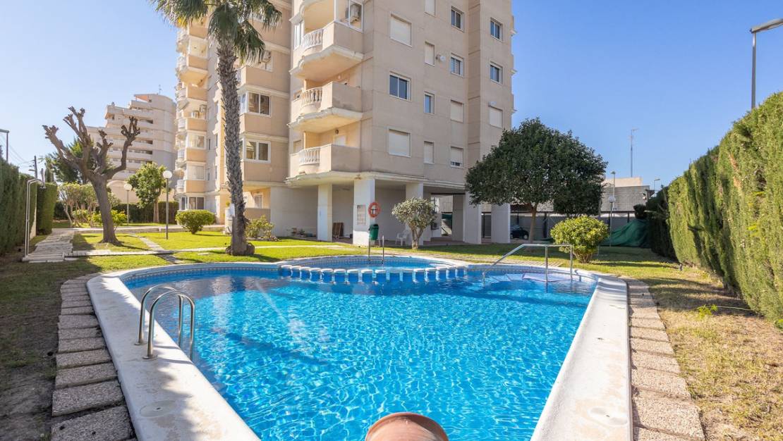 Sale - Apartment - Torrevieja - Torrevieja Centro