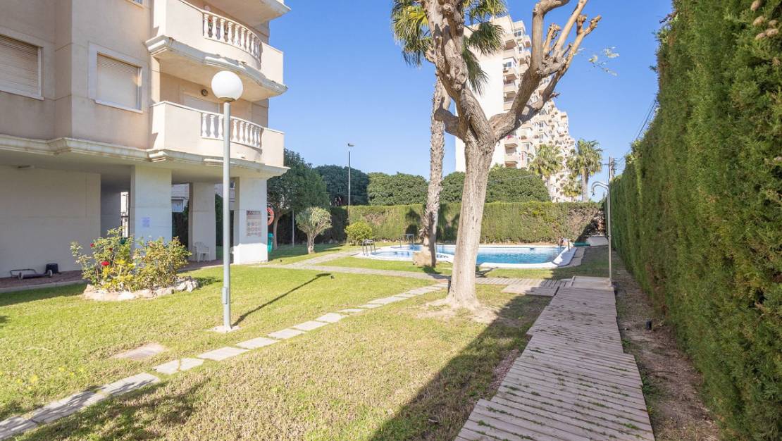 Sale - Apartment - Torrevieja - Torrevieja Centro