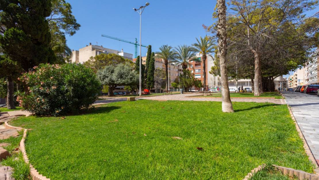 Sale - Apartment - Torrevieja - Torrevieja Centro