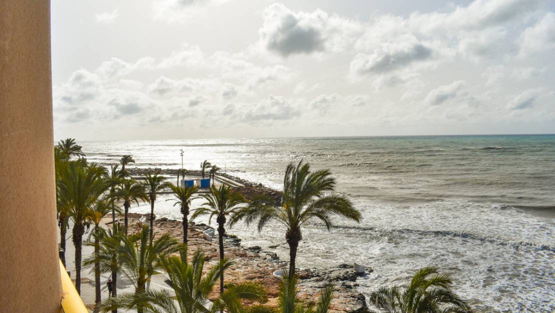 Sale - Apartment - Torrevieja - Torrevieja Centro
