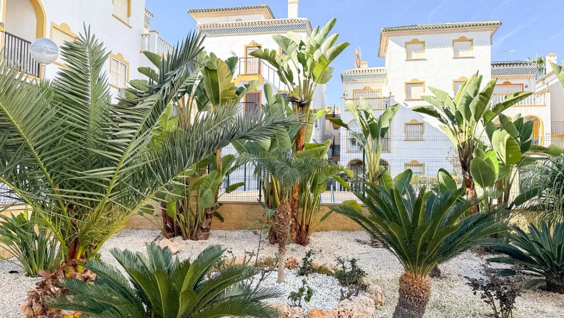 Sale - Apartment - Torrevieja - Torrevieja Centro