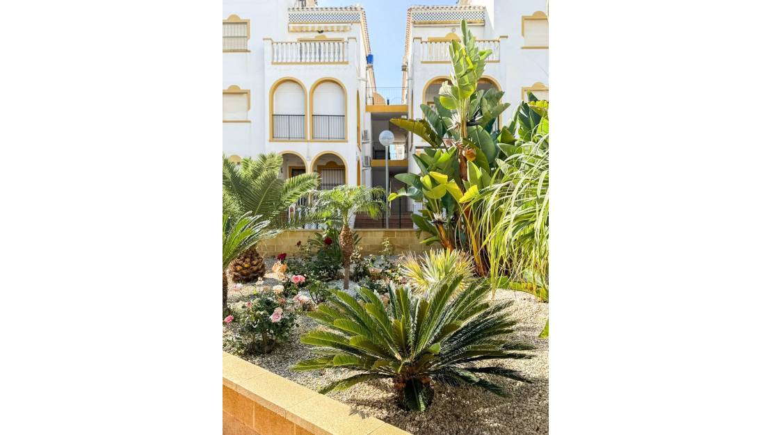 Sale - Apartment - Torrevieja - Torrevieja Centro