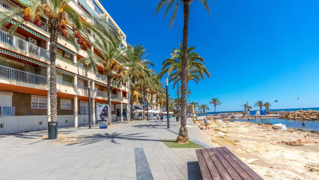 Sale - Apartment - Torrevieja - Torrevieja Centro