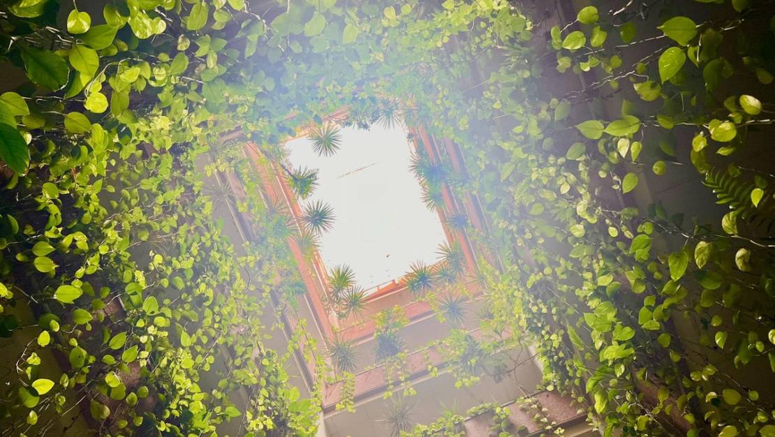 Sale - Apartment - Torrevieja - Torrevieja Centro