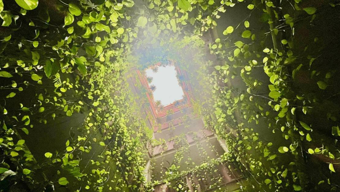 Sale - Apartment - Torrevieja - Torrevieja Centro