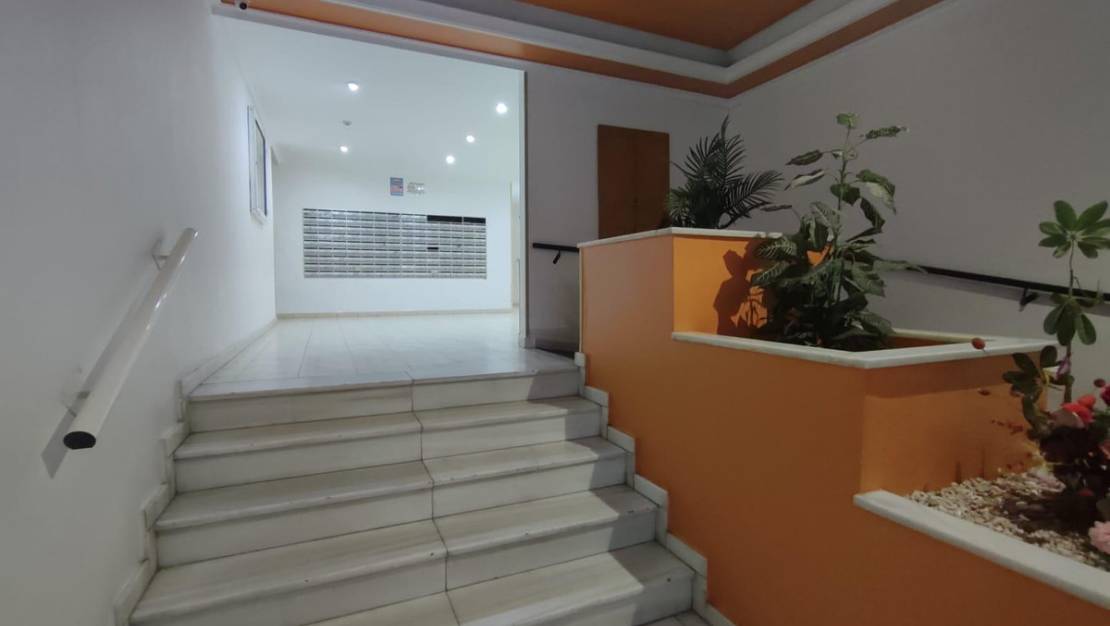 Sale - Apartment - Torrevieja - Torrevieja Centro