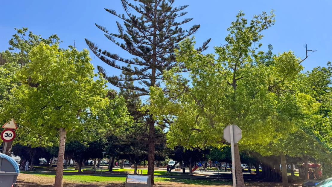 Sale - Apartment - Torrevieja - Torrevieja Centro