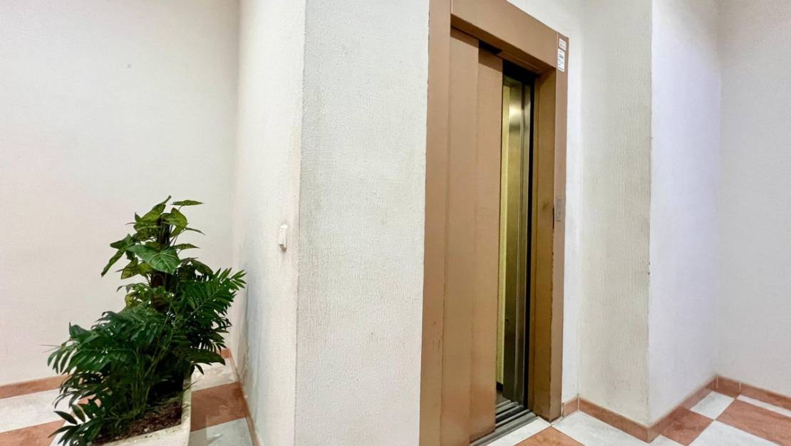 Sale - Apartment - Torrevieja - Torrevieja Centro