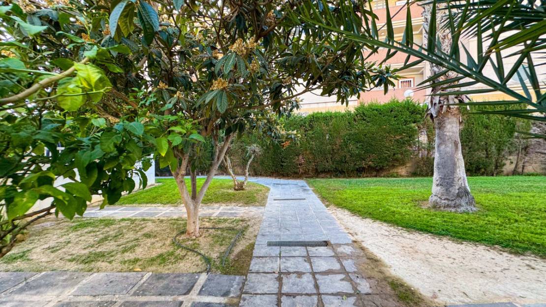 Sale - Apartment - Torrevieja - Torrevieja Centro