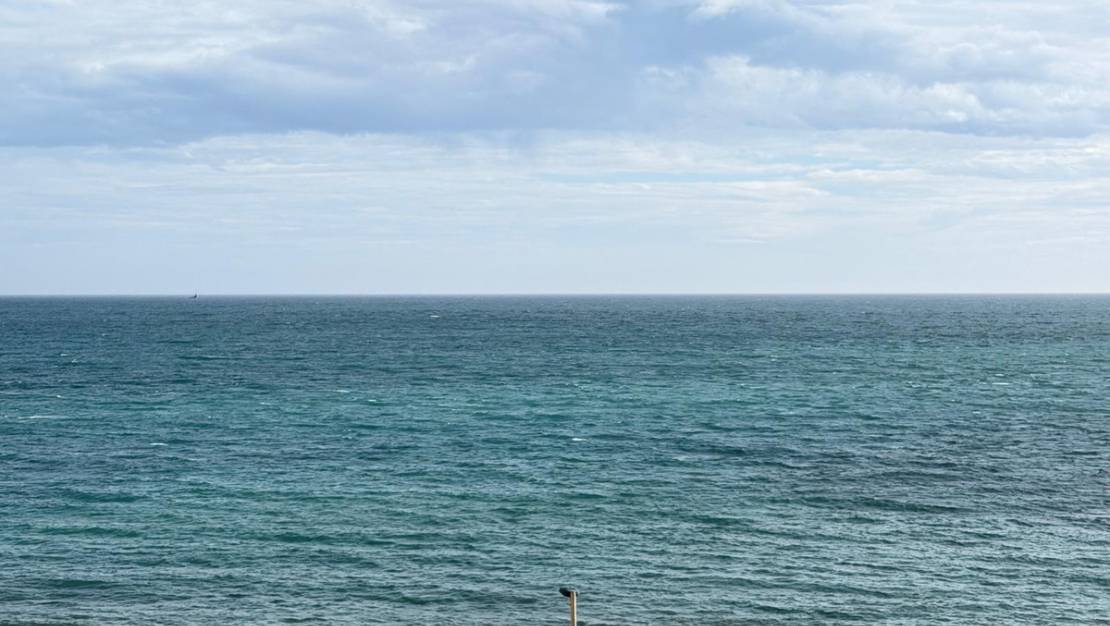 Sale - Apartment - Torrevieja - Torrevieja Centro