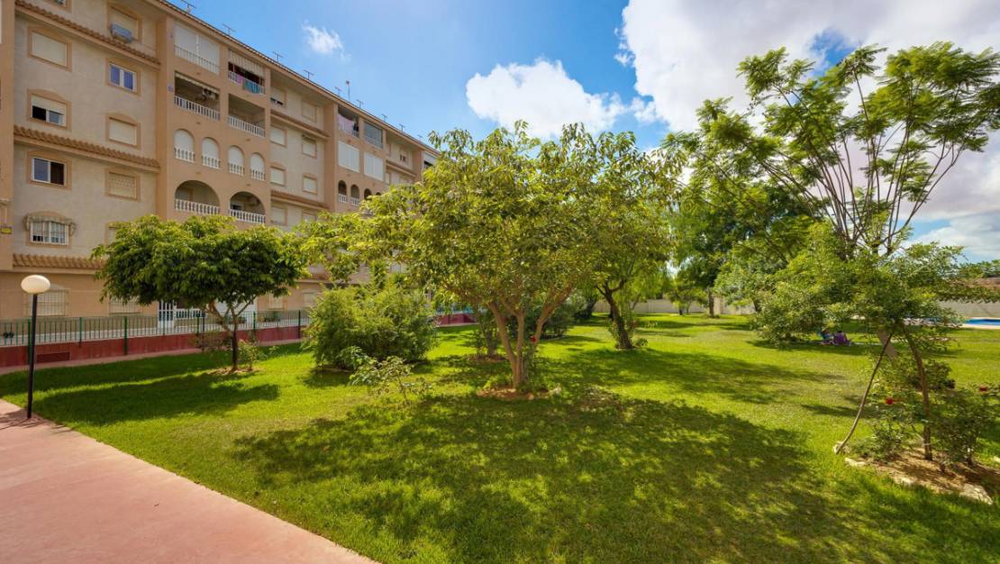 Sale - Apartment - Torrevieja - Torrevieja Centro