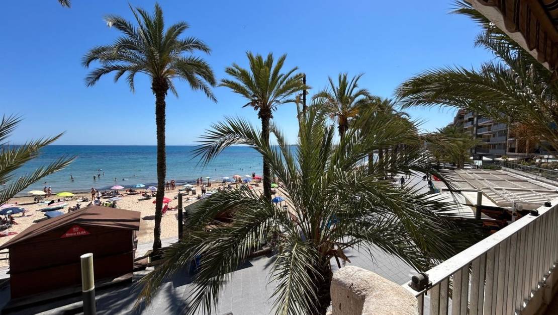 Sale - Apartment - Torrevieja - Torrevieja Centro