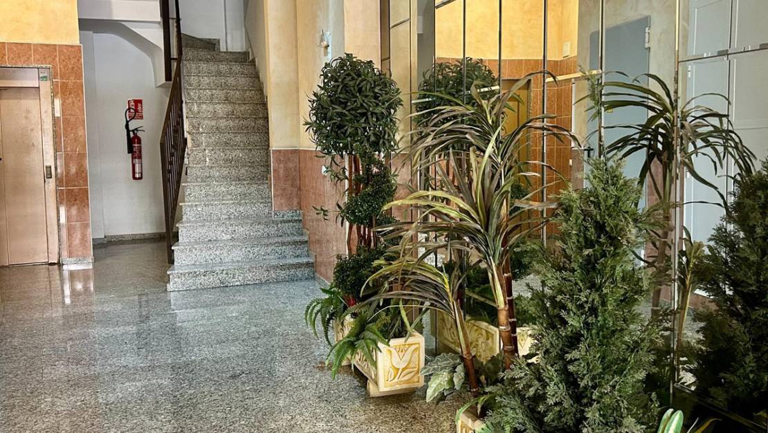 Sale - Apartment - Torrevieja - Torrevieja Centro