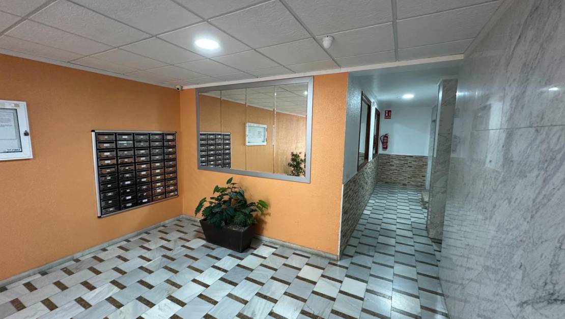 Sale - Apartment - Torrevieja - Torrevieja Centro