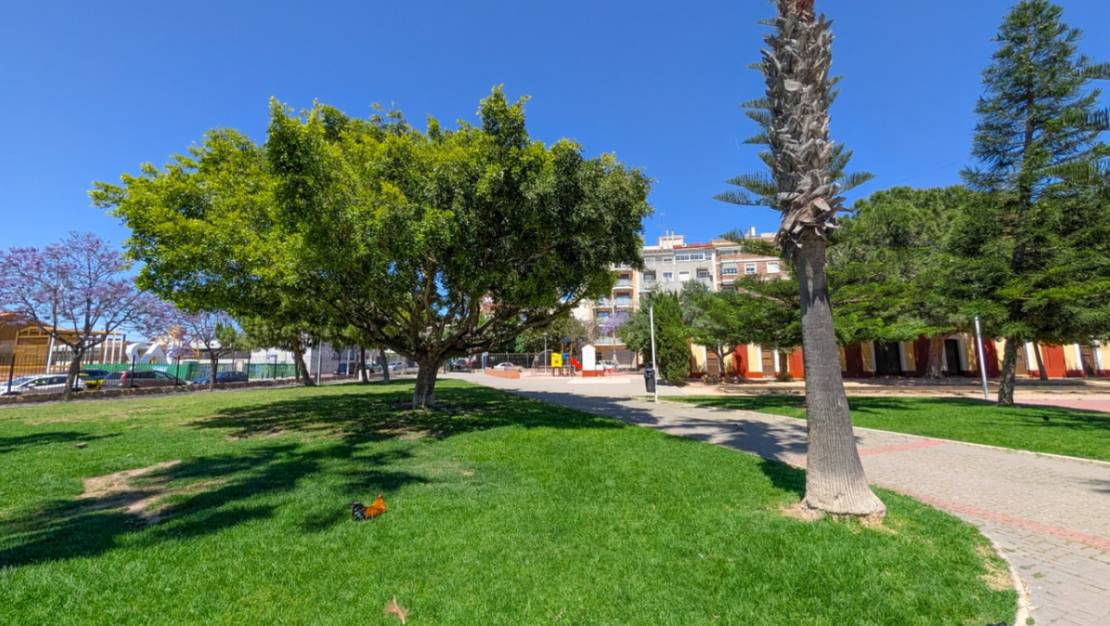 Sale - Apartment - Torrevieja - Torrevieja Centro