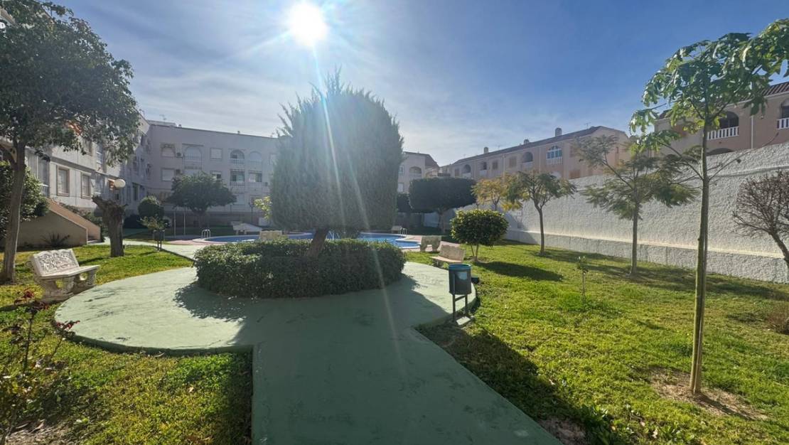 Sale - Apartment - Torrevieja - Torrevieja Centro