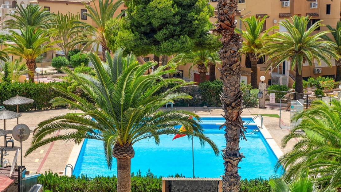 Sale - Apartment - Torrevieja - Torrevieja Centro