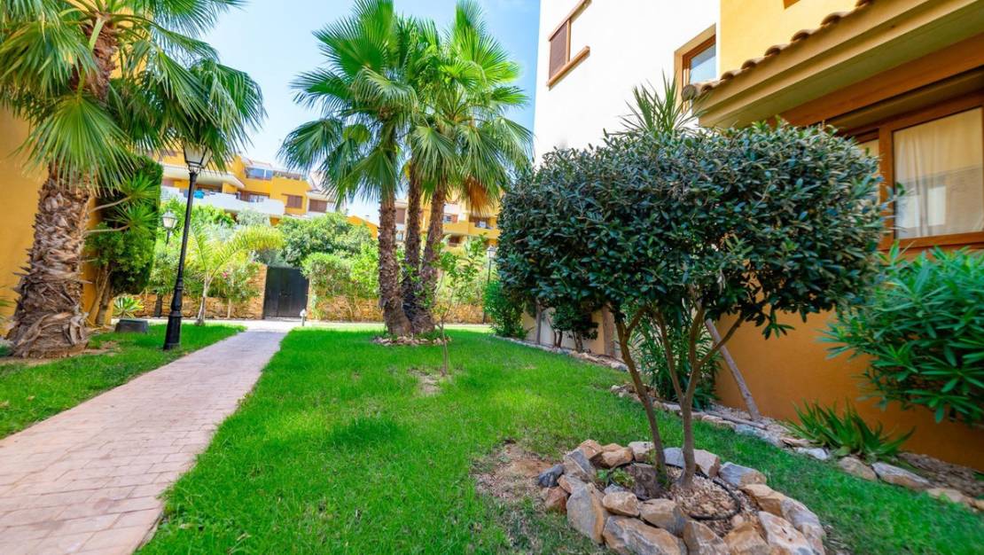 Sale - Apartment - Torrevieja - Torrevieja Centro