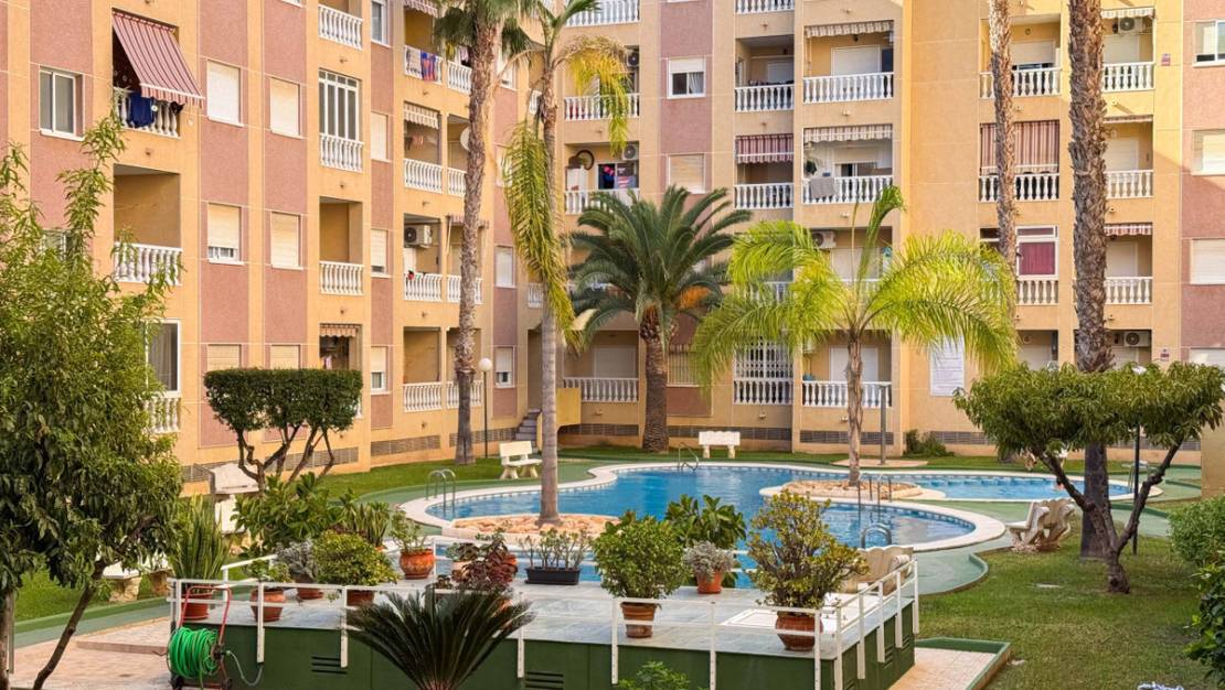 Sale - Apartment - Torrevieja - Torrevieja Centro