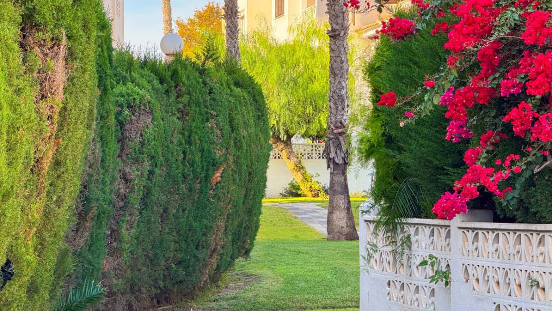 Sale - Apartment - Torrevieja - Torrevieja Centro
