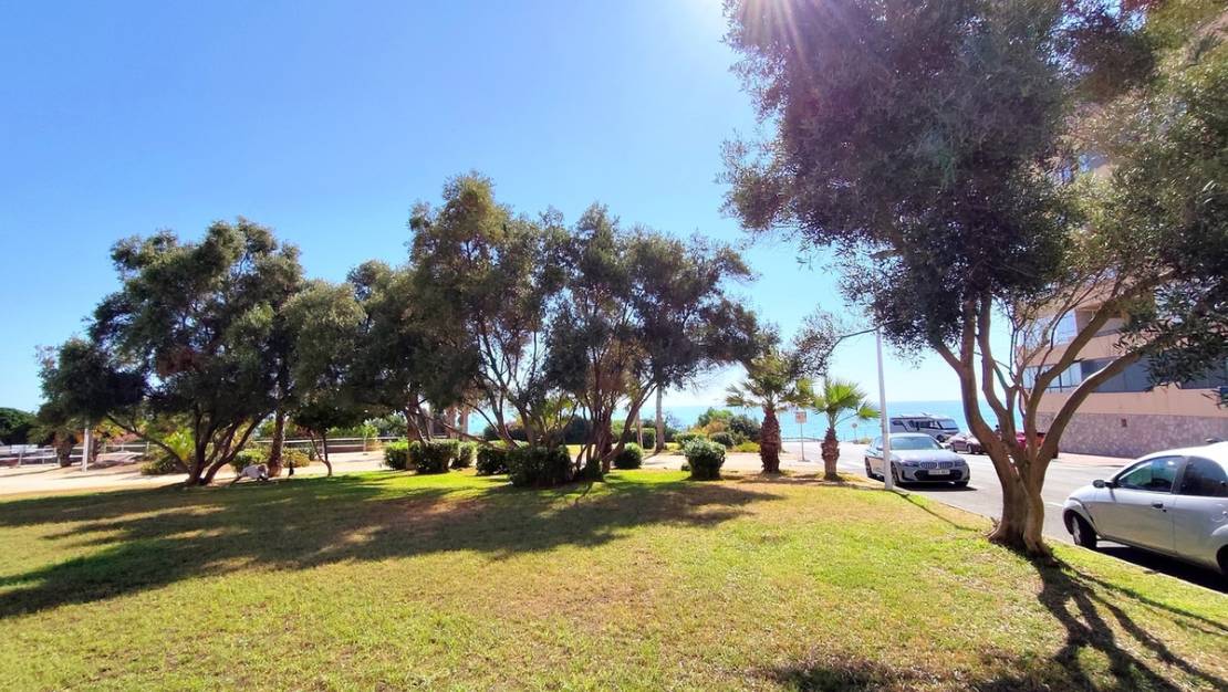 Sale - Apartment - Torrevieja - Torrevieja Centro
