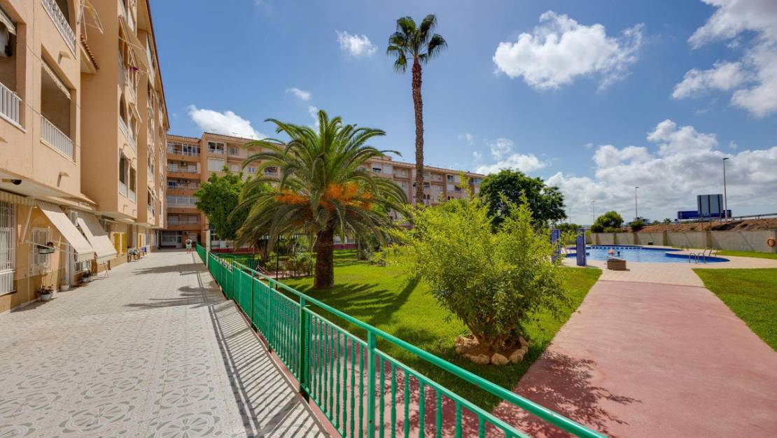 Sale - Apartment - Torrevieja - Torrevieja Centro