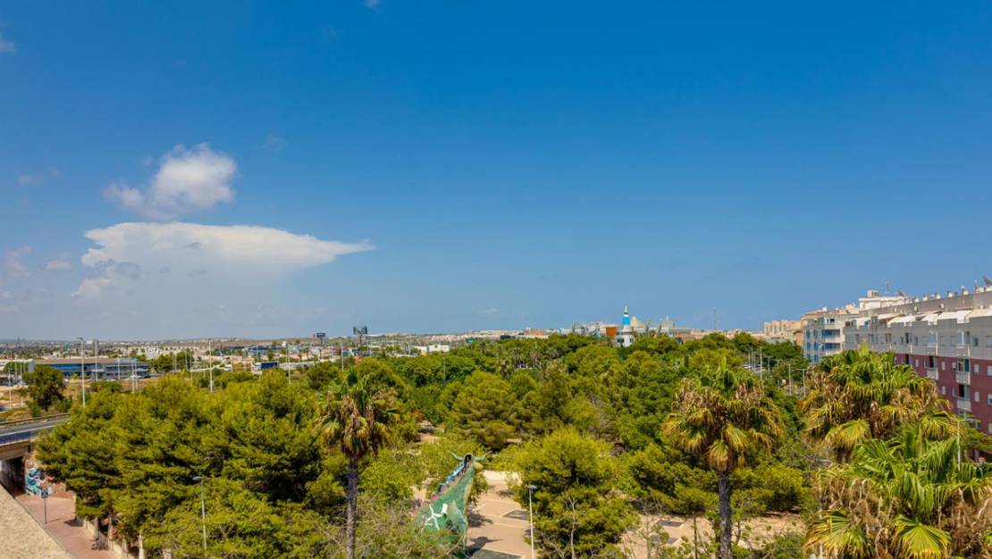 Sale - Apartment - Torrevieja - Torrevieja Centro