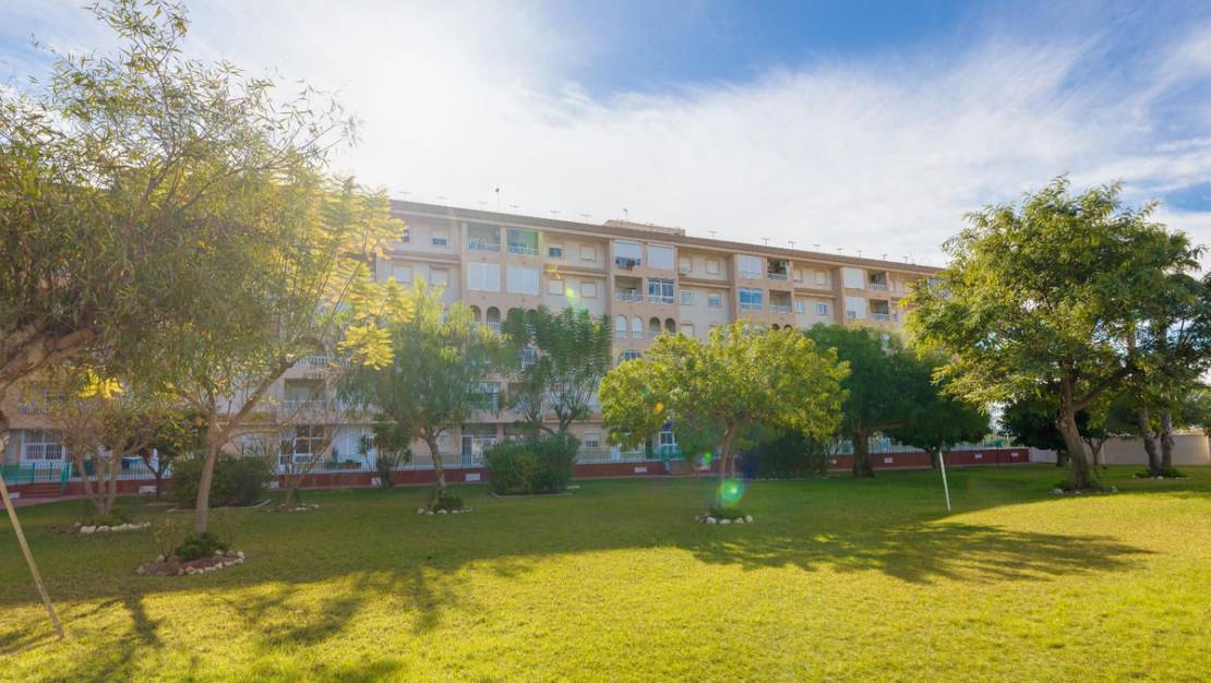Sale - Apartment - Torrevieja - Torrevieja Centro