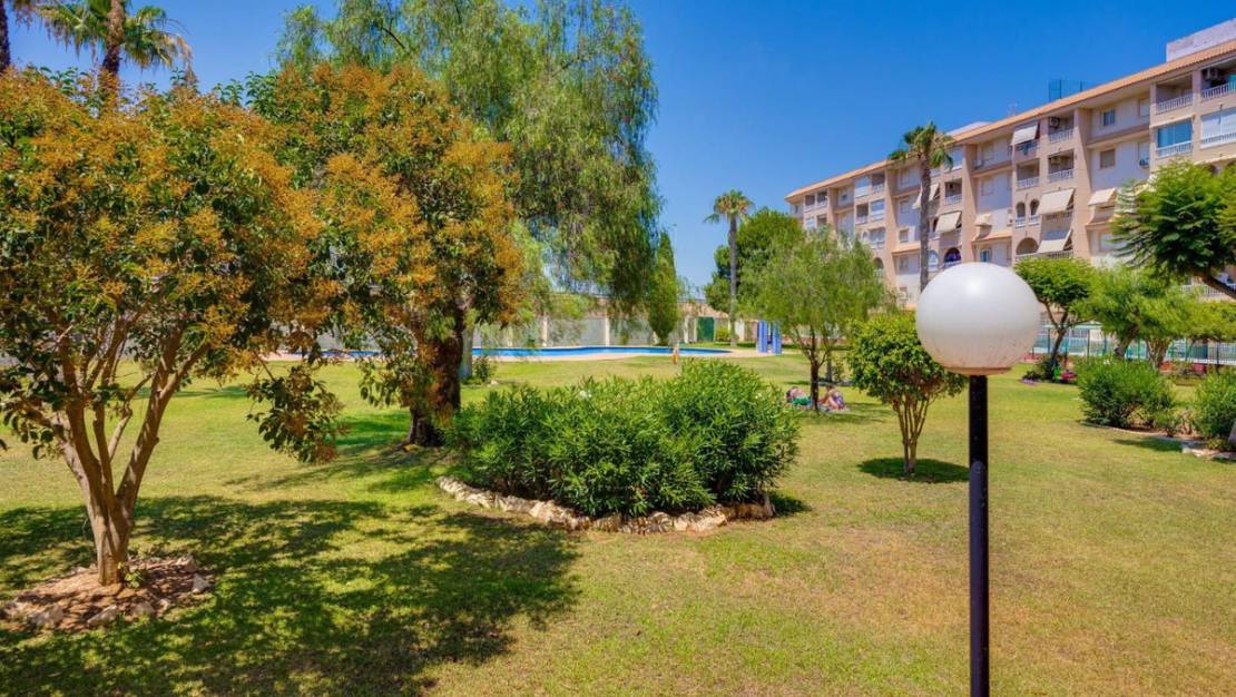 Sale - Apartment - Torrevieja - Torrevieja Centro