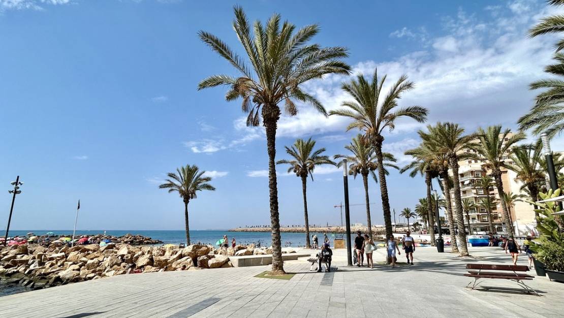 Sale - Apartment - Torrevieja - Torrevieja Centro