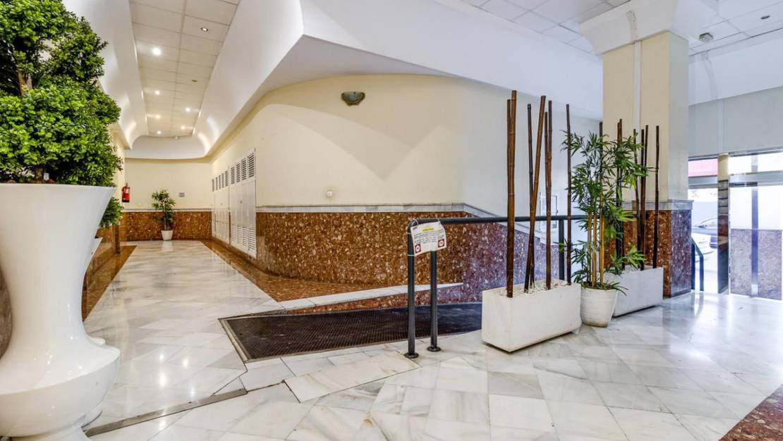 Sale - Apartment - Torrevieja - Torrevieja Centro