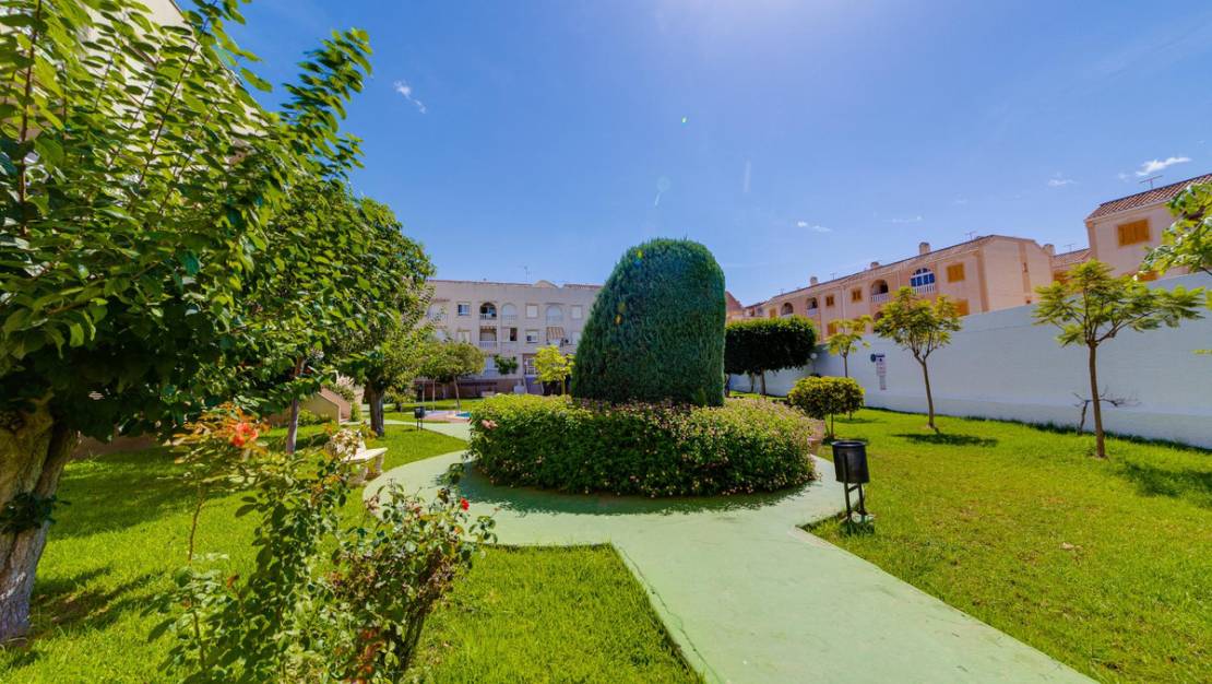 Sale - Apartment - Torrevieja - Torrevieja Centro
