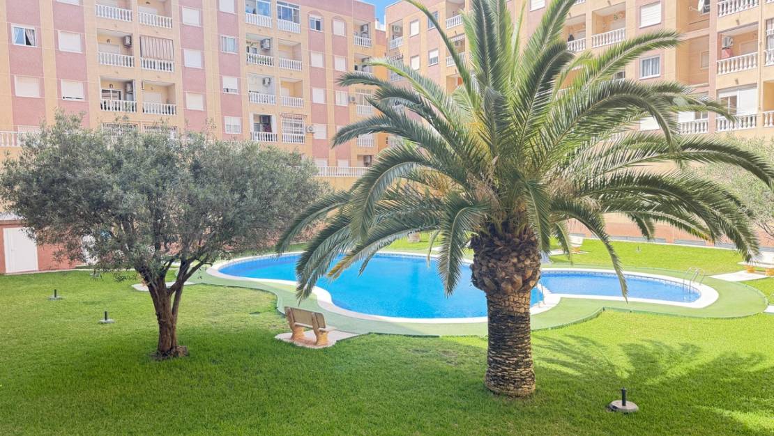 Sale - Apartment - Torrevieja - Torrevieja Centro