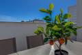 Sale - Apartment - Torrevieja - Torrevieja Centro