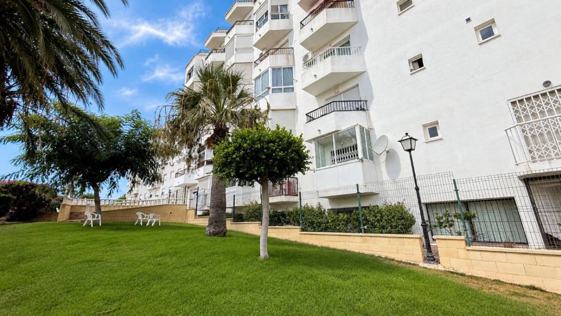 Sale - Apartment - Torrevieja - Torrevieja Centro