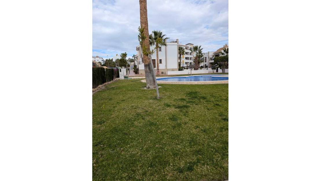 Sale - Apartment - Villamartin, Orihuela Costa