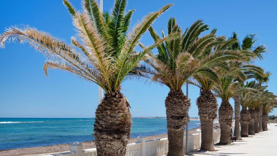 Sale - Bungalow - Pilar de la Horadada - Mil Palmeras