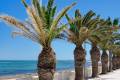 Sale - Bungalow - Pilar de la Horadada - Mil Palmeras