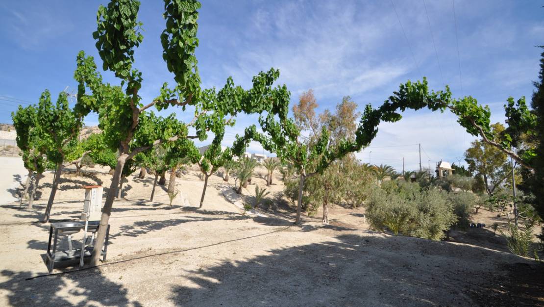 Sale - Commercial property - Abanilla - Abanilla Centro