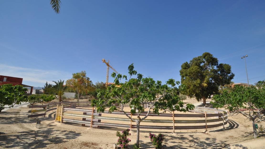 Sale - Commercial property - Abanilla - Abanilla Centro