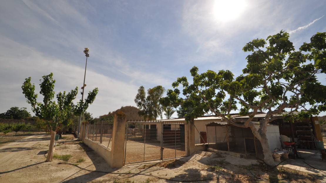 Sale - Commercial property - Abanilla - Abanilla Centro