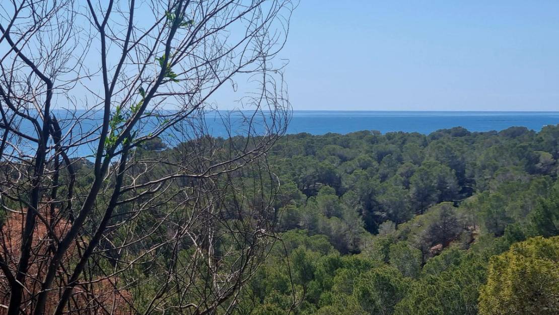 Sale - Commercial property - Altea - Altea Centro