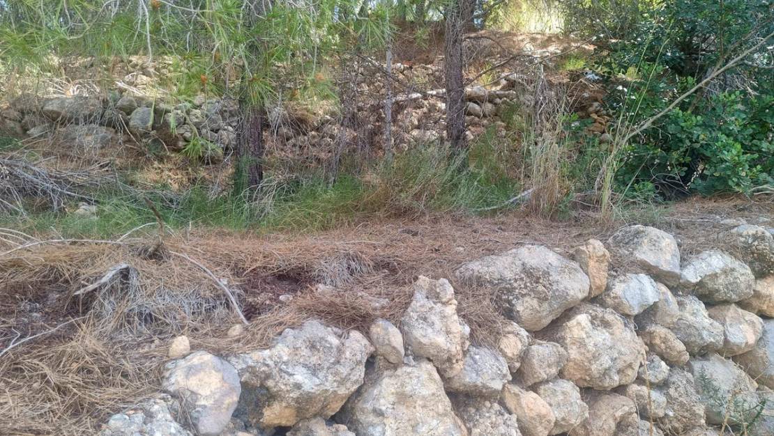 Sale - Commercial property - Altea - Altea Centro