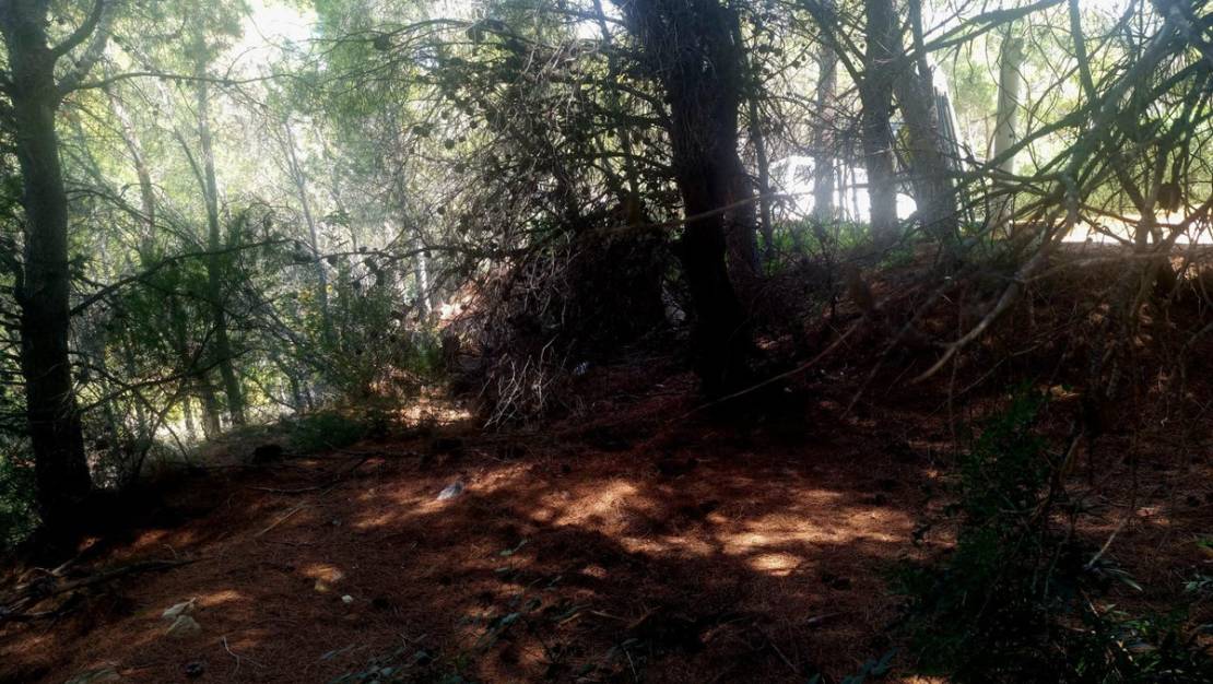 Sale - Commercial property - Altea - Altea Centro