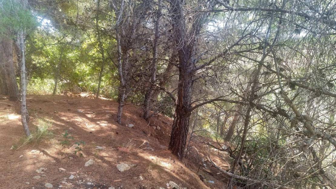 Sale - Commercial property - Altea - Altea Centro